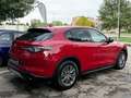 Alfa Romeo Stelvio Stelvio 2.2 Turbodiesel 160 CV AT8 RWD Super Rot - thumbnail 5