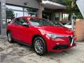 Alfa Romeo Stelvio Stelvio 2.2 Turbodiesel 160 CV AT8 RWD Super Rot - thumbnail 6