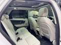 Land Rover Discovery Sport 2,0 TD4 4WD SE/panorama/kamera Weiß - thumbnail 10