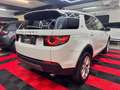 Land Rover Discovery Sport 2,0 TD4 4WD SE/panorama/kamera Weiß - thumbnail 6