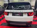 Land Rover Discovery Sport 2,0 TD4 4WD SE/panorama/kamera Weiß - thumbnail 5