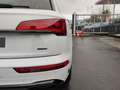 Audi Q5 S line 40 TDI quattro 150(204) k W(PS) S tron Weiß - thumbnail 19