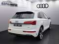 Audi Q5 S line 40 TDI quattro 150(204) k W(PS) S tron White - thumbnail 6