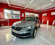 Skoda Karoq 1.5 TSI Ambition ACT DSG Gris - thumbnail 23