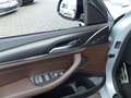 BMW X4 xDrive30d M Sportpak.AH K°Laser*Winterpak°HIFI Grigio - thumbnail 12