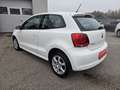Volkswagen Polo "So wie Du ihn willst" 1,2 Weiß - thumbnail 4