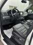 Volkswagen Amarok Highline 4Motion DoubleCab Weiß - thumbnail 9