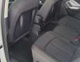 Audi Q3 Q3 35 2.0 TDI 150cv S tronic PARI AL NUOVO Blanc - thumbnail 14