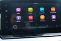 SEAT Ibiza FR 1.0 TSI Grau - thumbnail 12