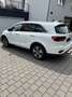 Kia Sorento Platinum Edition 4WD Weiß - thumbnail 9