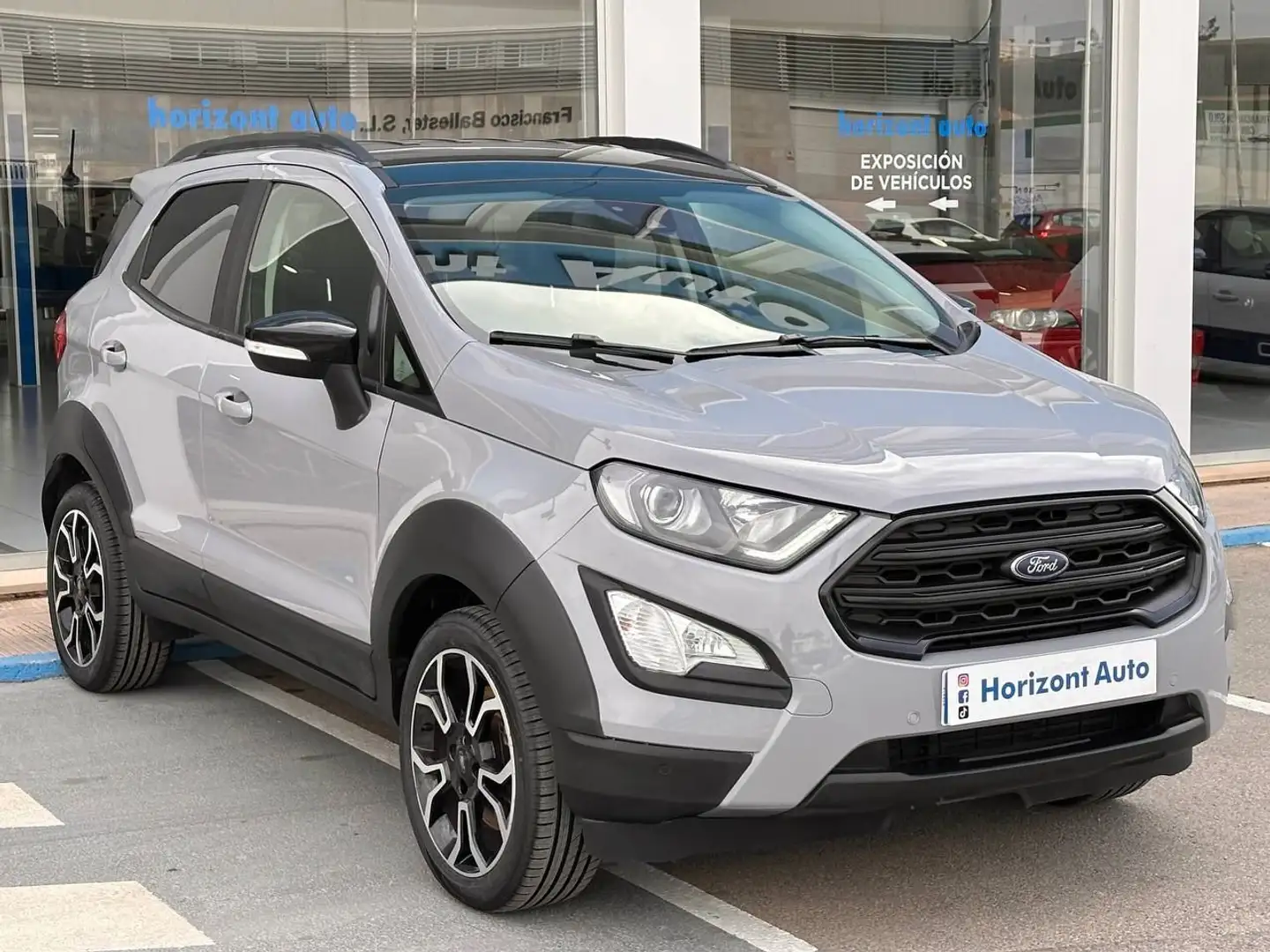 Ford EcoSport Active Gris - 1