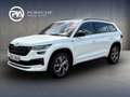 Skoda Kodiaq SPORTLINE TSI ACT DSG Weiß - thumbnail 1