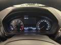 Ford EcoSport 1.0 ecoboost Titanium s&s 125cv my1 Red - thumbnail 19
