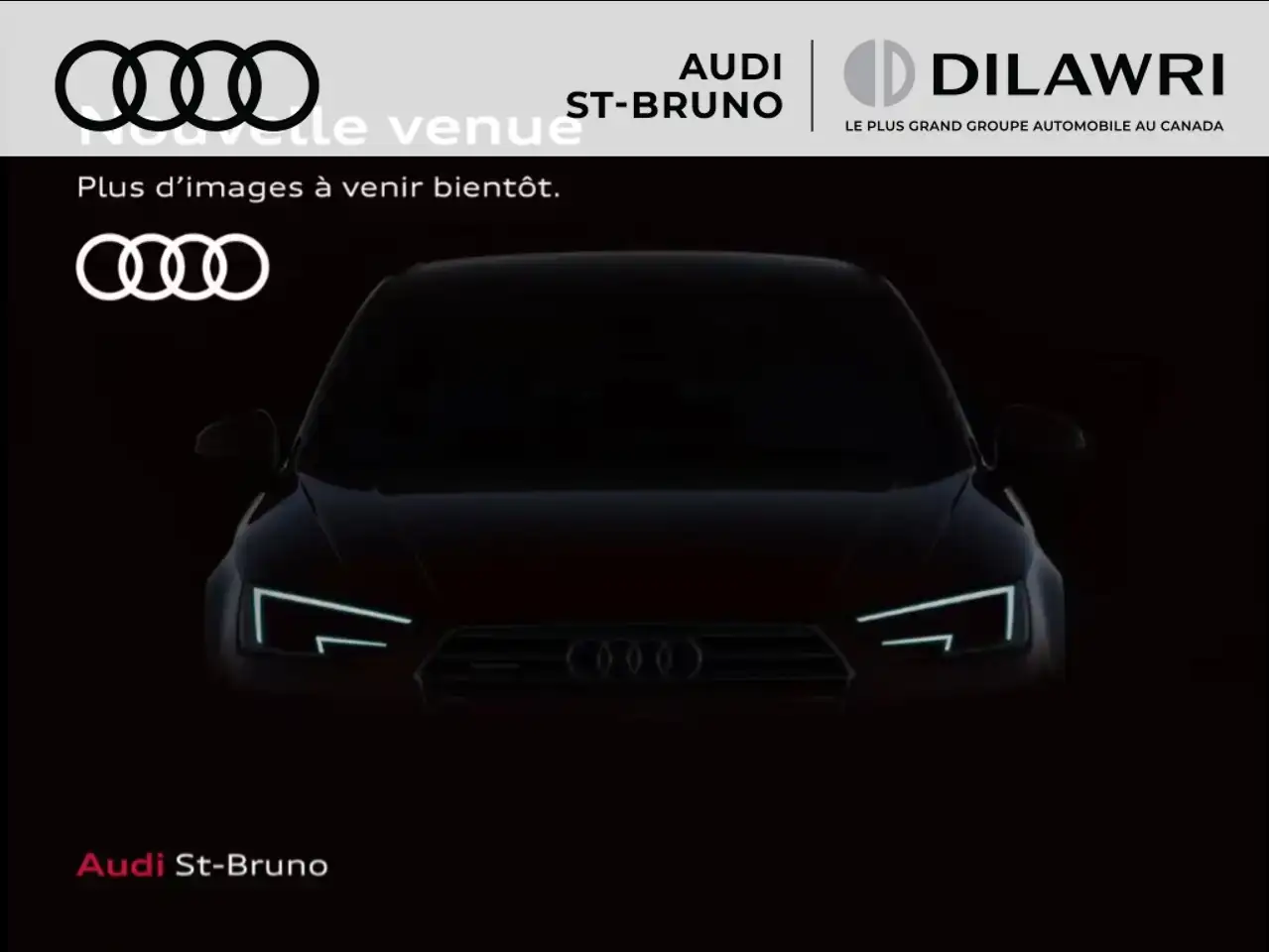 2024 Audi Q8 e-tron 0.99% / Massage / B&O / 21 '' / Carplay / Exclusive Rates And Available Audi Warranty For Your New Audi / Taux Exclusifs