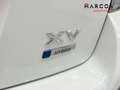 Subaru XV 2.0i Hybrid CVT Executive Plus Blanco - thumbnail 44
