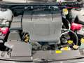 Subaru XV 2.0i Hybrid CVT Executive Plus Blanco - thumbnail 15