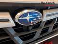 Subaru XV 2.0i Hybrid CVT Executive Plus Blanco - thumbnail 47