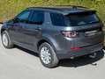 Land Rover Discovery Sport Pure 4x4 mit AHK Grau - thumbnail 9