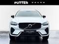 Volvo XC60 Recharge T6 AWD Plus Dark 19'' Allwetter StandHZG Weiß - thumbnail 8