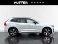 Volvo XC60 Recharge T6 AWD Plus Dark 19'' Allwetter StandHZG Weiß - thumbnail 6