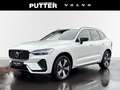 Volvo XC60 Recharge T6 AWD Plus Dark 19'' Allwetter StandHZG Weiß - thumbnail 1
