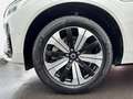 Volvo XC60 Recharge T6 AWD Plus Dark 19'' Allwetter StandHZG Weiß - thumbnail 9