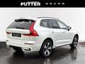 Volvo XC60 Recharge T6 AWD Plus Dark 19'' Allwetter StandHZG Weiß - thumbnail 2