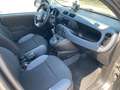 Fiat Panda Panda III 2012 1.2 Easy 69cv E6 Grigio - thumbnail 14