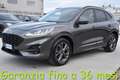 Ford Kuga 1.5 EcoBlue 120 CV aut. 2WD ST-Line X Grigio - thumbnail 1