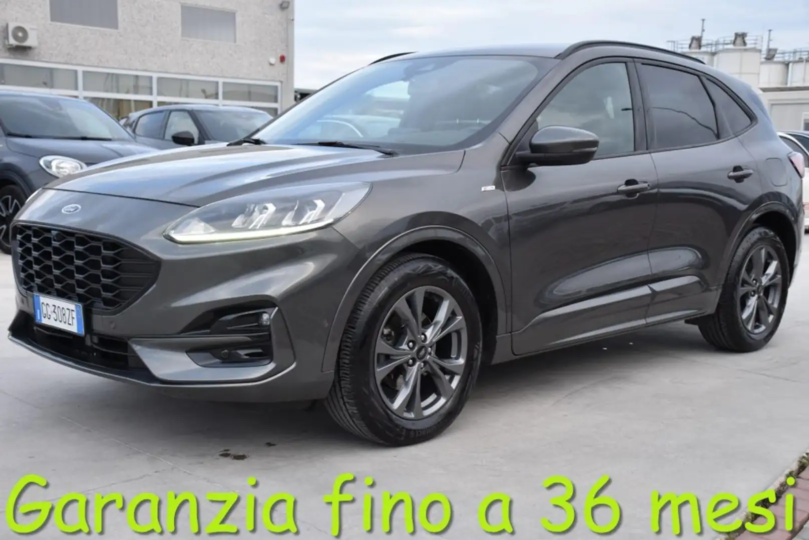 Ford Kuga 1.5 EcoBlue 120 CV aut. 2WD ST-Line X Grigio - 1