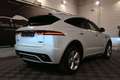 Jaguar E-Pace E-Pace 2.0 T P250 AWD R-DYNAMIC / CAMERA 360 /HEAD Blanc - thumbnail 8