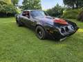 Pontiac Sonstige Pontiac Firebird Trans Am - thumbnail 1