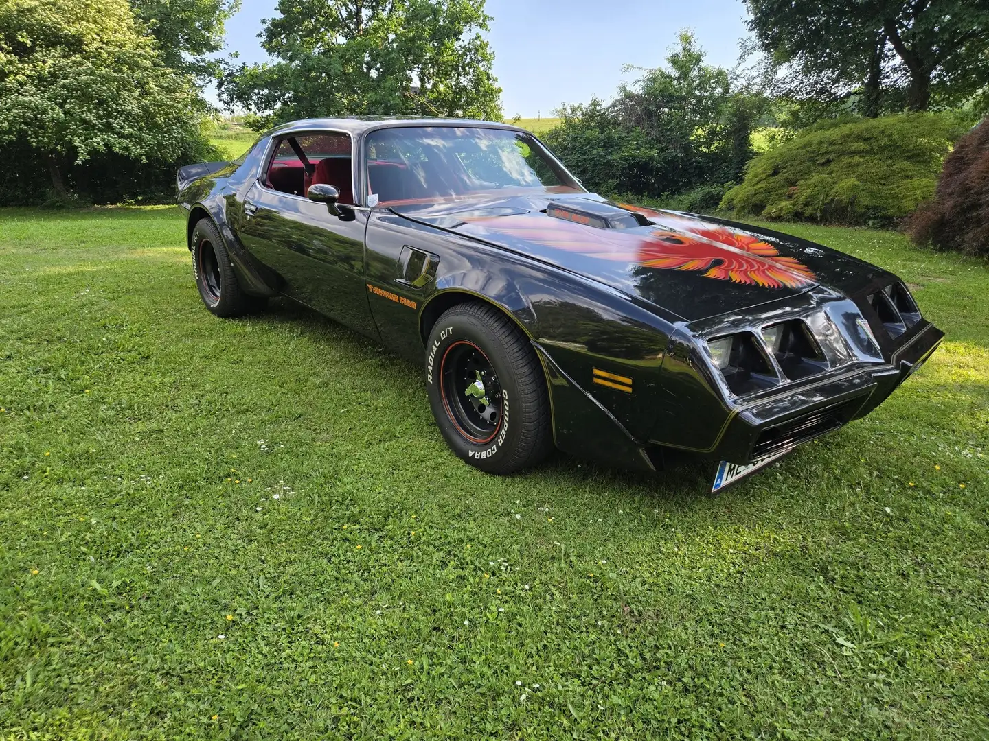 Pontiac Sonstige Pontiac Firebird Trans Am - 1