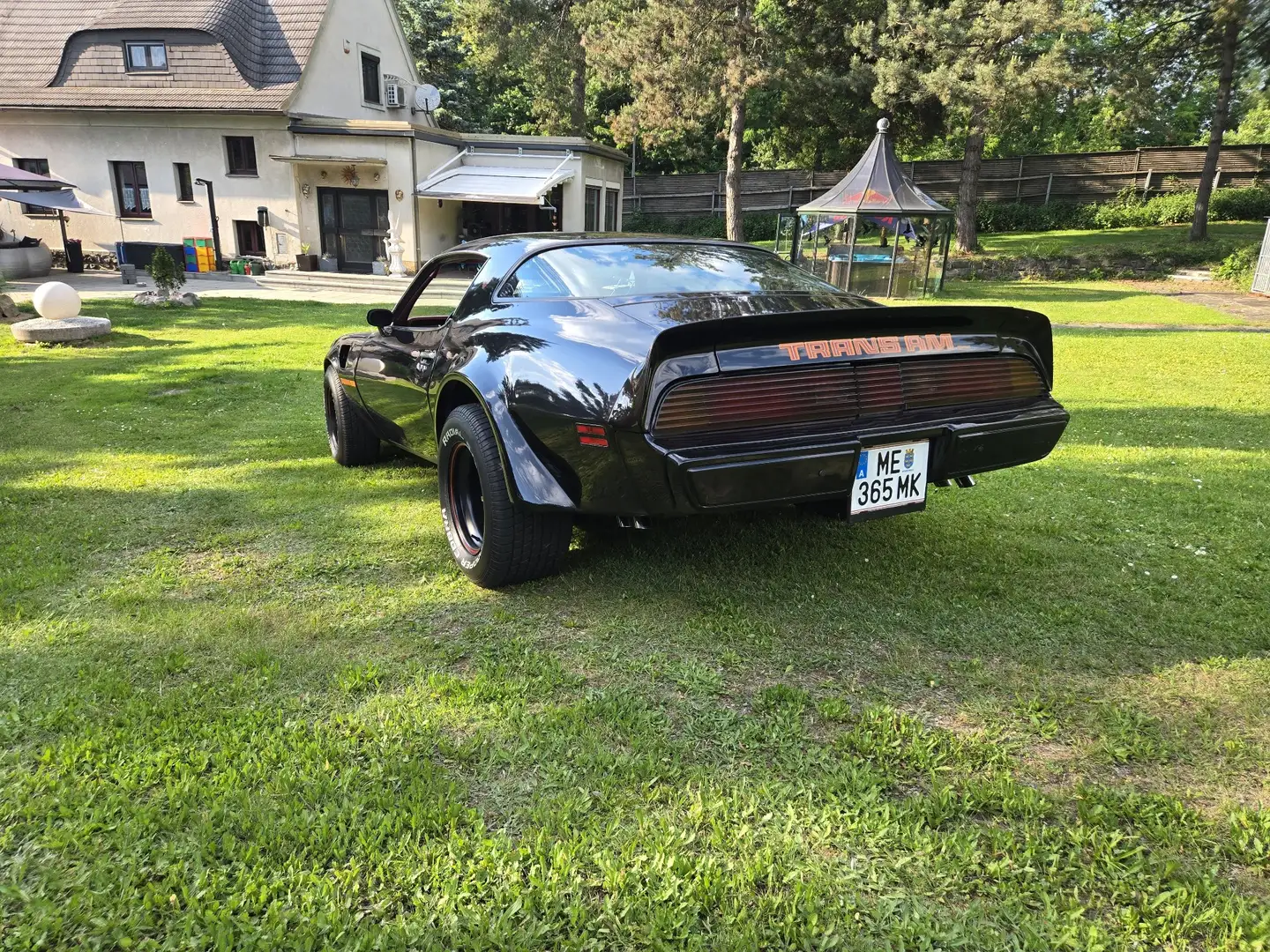 Pontiac Sonstige Pontiac Firebird Trans Am - 2