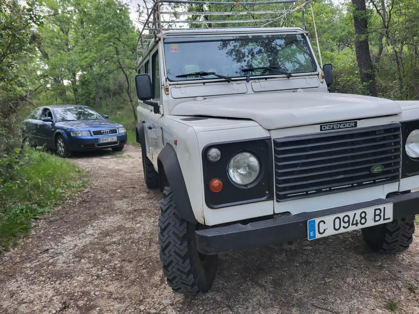 Land Rover Defender Defender 110 TDI SW Blanco - 2