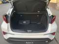 Toyota C-HR 1.8h Business e-cvt (PROMO) Bianco - thumbnail 9