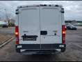 Iveco Daily 2.8 D Blanc - thumbnail 5
