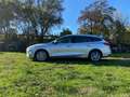 Ford Focus SW 1.5 120cv Euro 6D-Temp * Solamente 70.000km! * Zilver - thumbnail 4