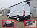 Ford Transit L2H2 2.0 EcoBlue 130PS Trend 3,5t 2-Sitzer AHK Sit Weiß - thumbnail 6