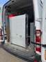 Renault Master T35 2.3 Dci 170cv “ALLESTITO OFFICINA” Bianco - thumbnail 3