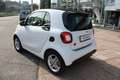 smart forTwo EQ Bluedawn (22kW) Bianco - thumbnail 3