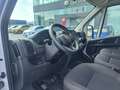 Fiat Ducato FURGONE PL TA 2.2 MJT 140 CV EURO 6 Blanc - thumbnail 9