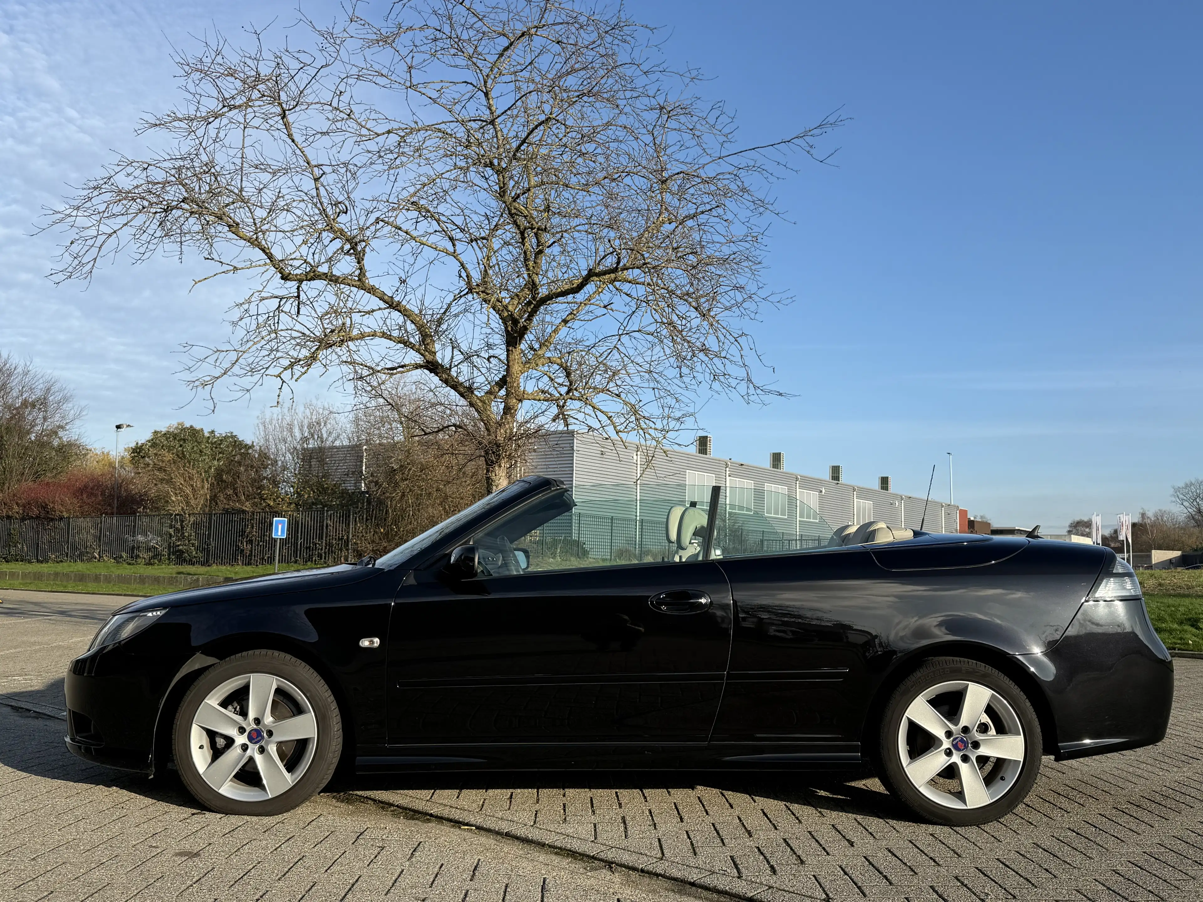 Saab 9-3 9-3 1.8t Cabrio Vector — photo 8