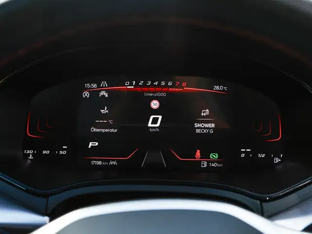 Seat Ibiza view 15