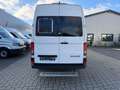 MAN TGE L3H2 Kasten Kamera/Standheizung/PDC Weiß - thumbnail 4