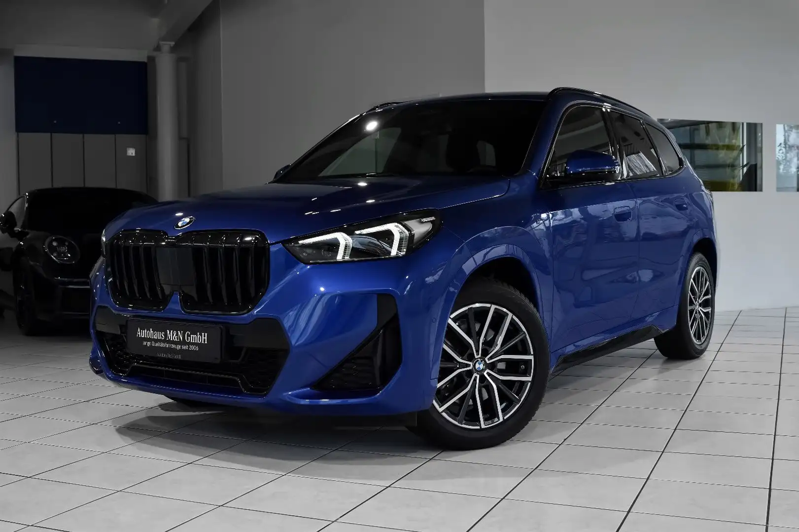 BMW X1 M Sport *Driving Ass. Plus* Memory* Blau - 1