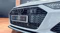 Audi A6 RS 6 Avant TFSI quattro Gris - thumbnail 16