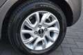 Kia Picanto Picanto 1.0 ISG Spirit Gris - thumbnail 16