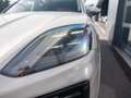 Porsche Cayenne E-Hybrid Grau - thumbnail 24