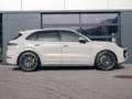 Porsche Cayenne E-Hybrid Grau - thumbnail 6